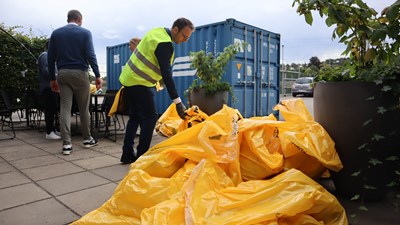 Bertling Sweden joins forces with the organization Städa Sverige for World Cleanup Day 2023