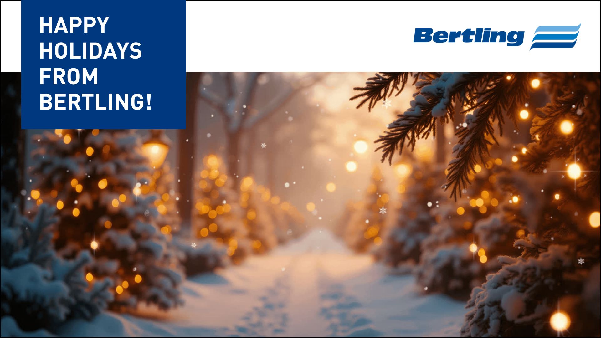 Merry Christmas and Happy Winter Holidays 2025!