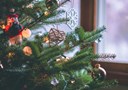 Celebrate a sustainable Christmas with Bertling Logistics