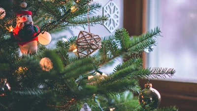 Celebrate a sustainable Christmas with Bertling Logistics