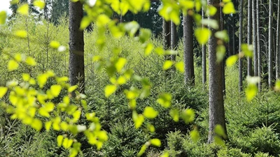 World Environment Day, 5th June 2022