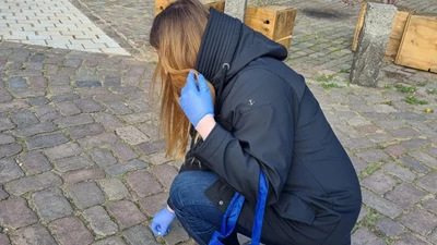 Clean-up session by our Head Office in Hamburg