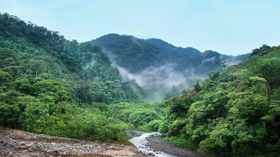 Bertling Logistics supports “Friends of Green Suriname” on World Rainforest Day