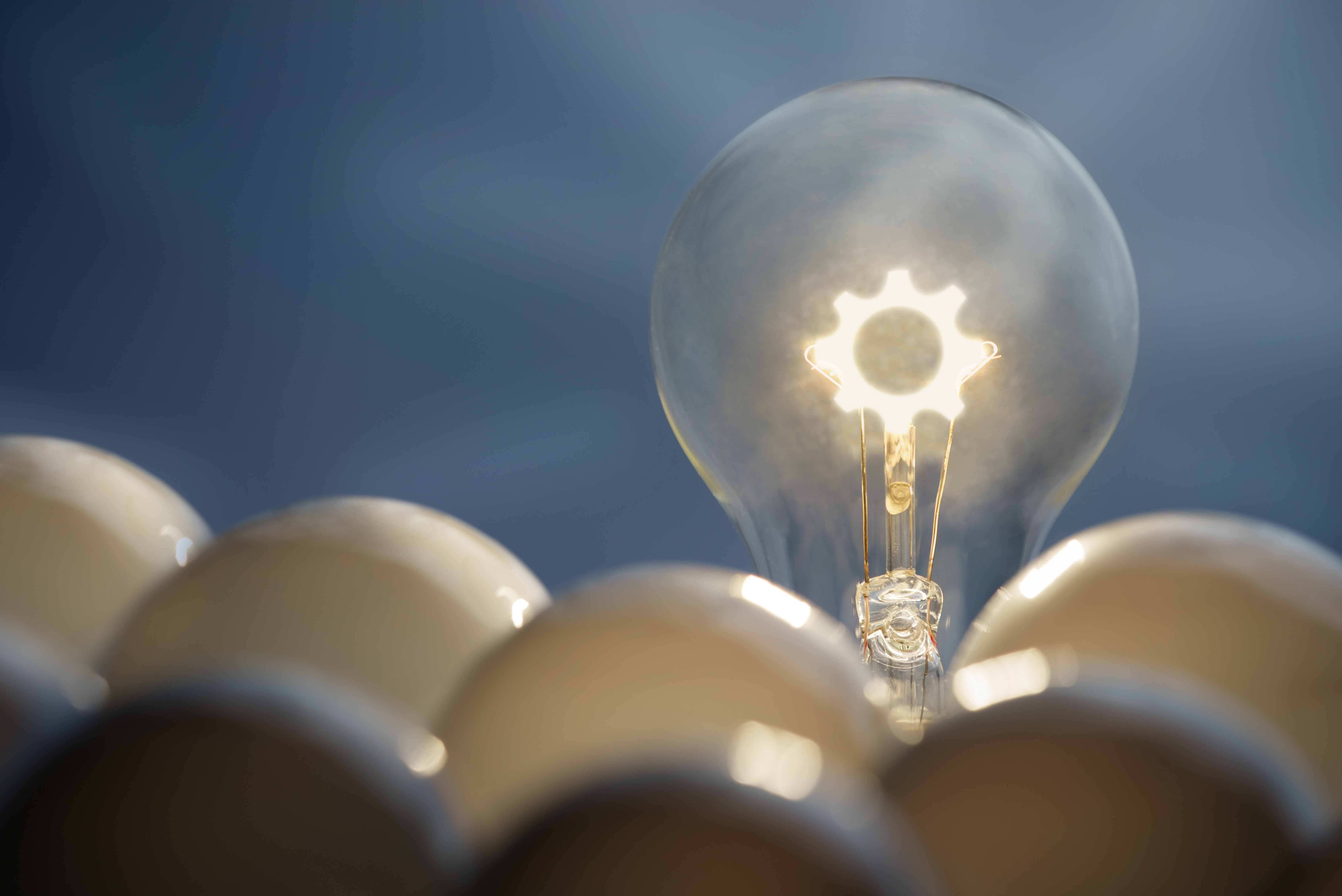 Customs Clearance by Bertling UK