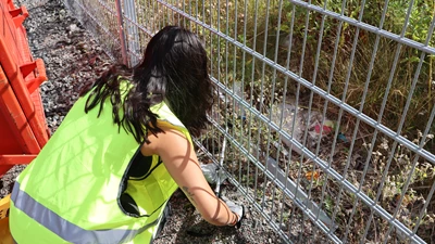Bertling Sweden participates in local cleanup session
