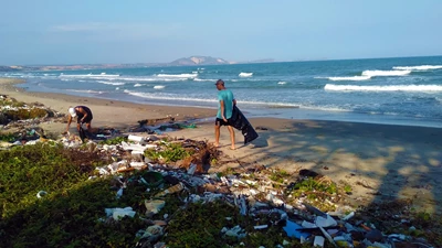 Bertling Logistics supports Ocean Clean-up Project on World Oceans Day