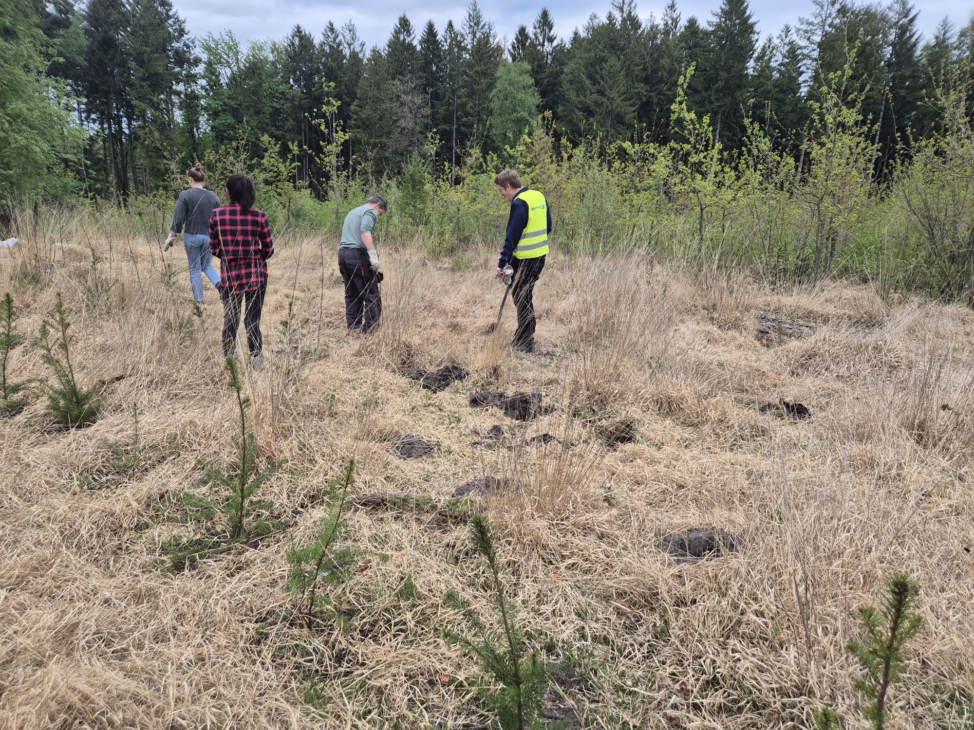 Bertling Logistics joins Tree Planting Initiative in northern Germany 
