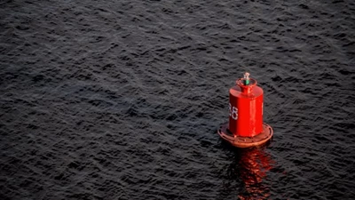 what's driving the 2024 increase in shipping costs?