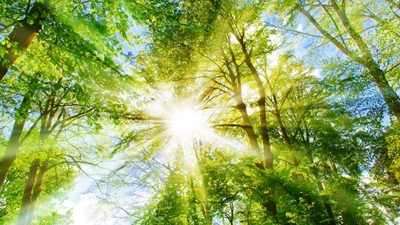 Climate Action Day on 24 October 2024