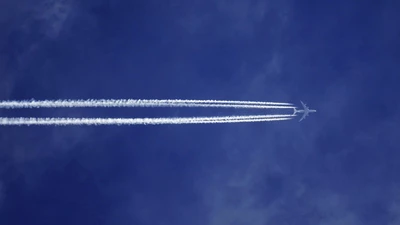 Love is in the air… the impact of Valentine’s Day on air freight