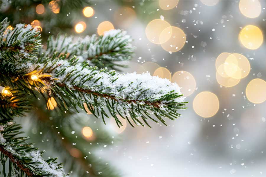 Merry Christmas and Happy Winter Holidays!