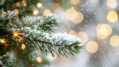 Merry Christmas and Happy Winter Holidays!