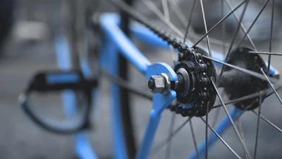 Bertling celebrates World Bicycle Day