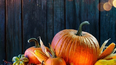 Happy Thanksgiving Day from Bertling!
