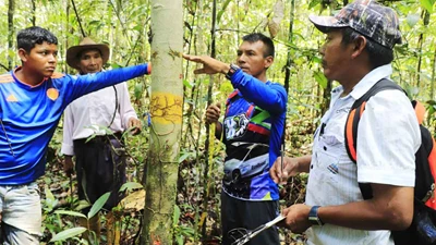 Offsetting projects updated – new project in Colombia added