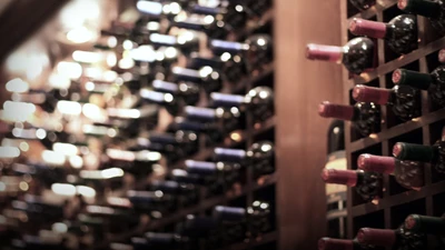 The Ultimate Solution for Wine Transportation