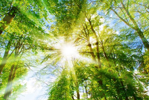 Bertling Logistics publishes its first GRI-based Sustainability Report