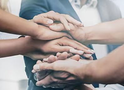 Human Rights Day 2025 at Bertling  