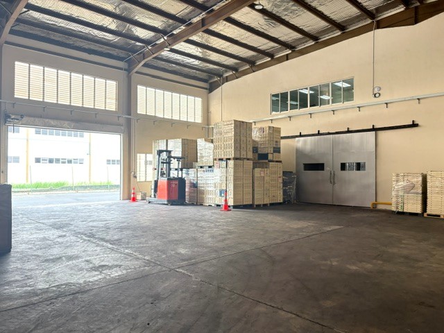 Upgrade to our Warehouse in Batam: Bertling’s Temperature-Controlled Cold Room