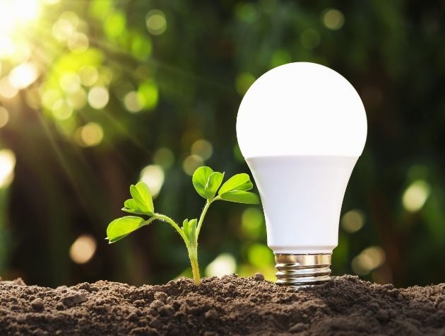 LEDs in our global offices for a greener tomorrow